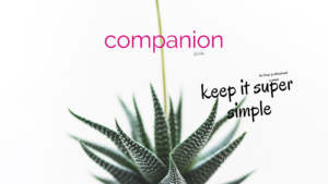 Companion Keep It Super Simple Bronwen Sciortino Busy Women Stress Exhaustion Burnout Personal Development Growth