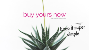 Buy Companion Keep It Super Simple Bronwen Sciortino Busy Women Stress Exhaustion Burnout Personal Development Growth